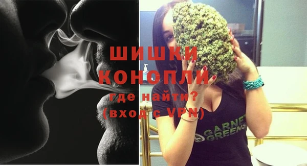 индика Богородск